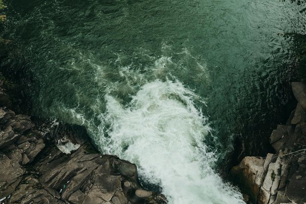Les festivals de nourriture pour voyager et manger à bon marché